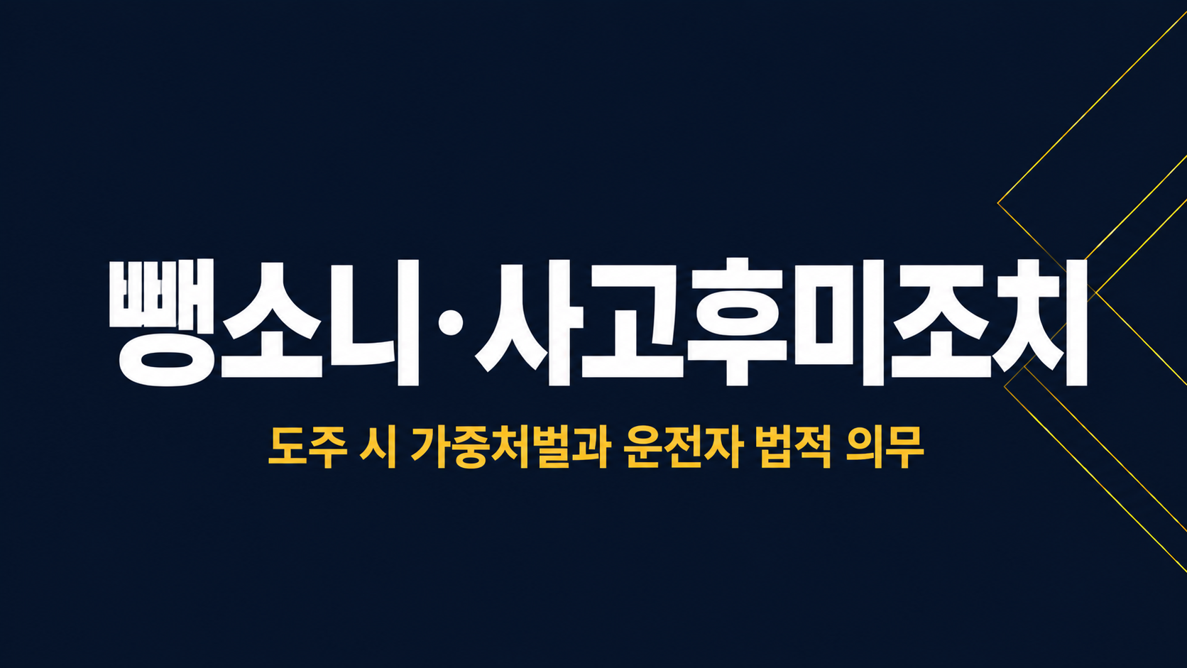 사고후미조치/뺑소니 이미지 1